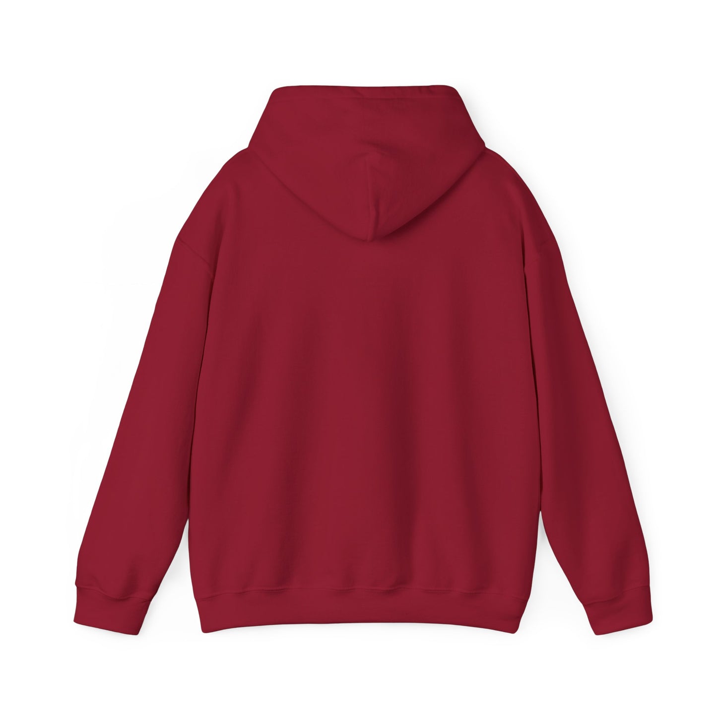 BETRAYAL/ Hooded Pullover, Gift for Him/Her/Teens